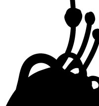 Detail trees of my life by Montse Noguera